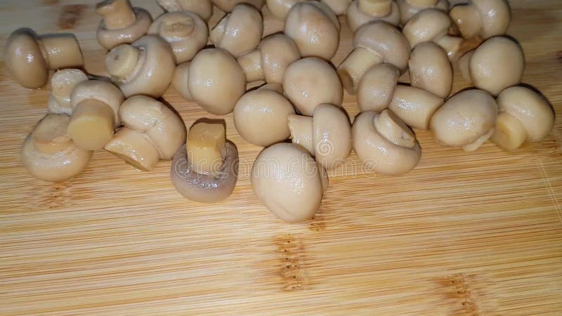 Agaricus bisporus champignon l'un des ingrédients de la cuisine délicieux plat
