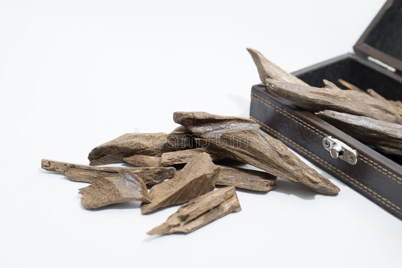 Agarwood is popular incense in Saudi Arabia, Dubai and other Arabic Country. Agarwood is popular incense in Saudi Arabia, Dubai and other Arabic Country