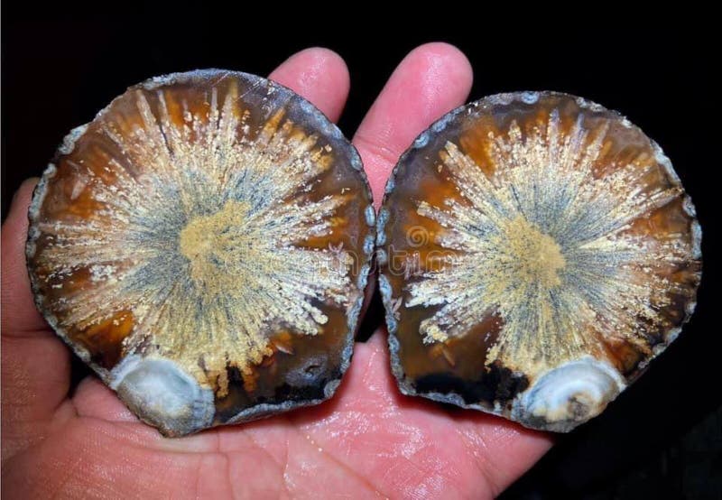 Agate patterns like starburst