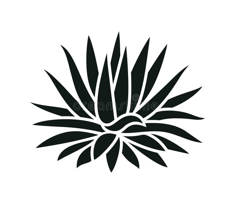 Agave Logo. Isolated Agave on White Background Stock Vector