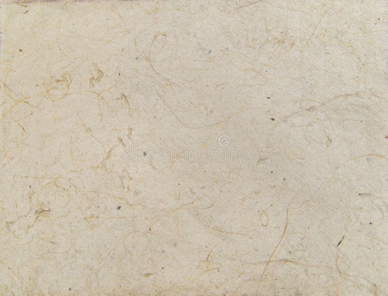 Aged asian handmade paper texture with veins and fibers