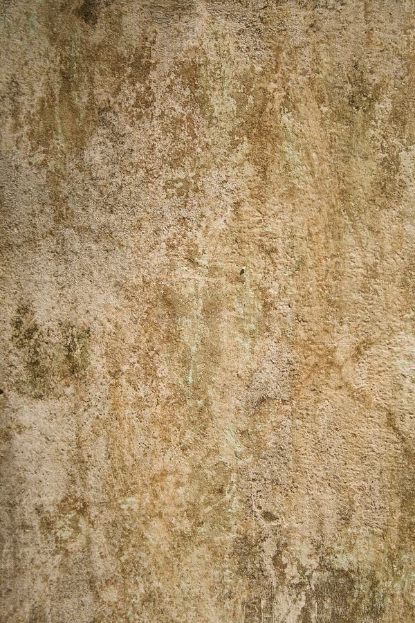 Aged and cracked plaster wall