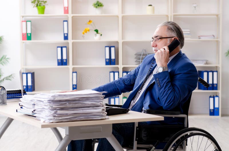 The Aged Employee in Wheelchair Working in the Office Stock Image