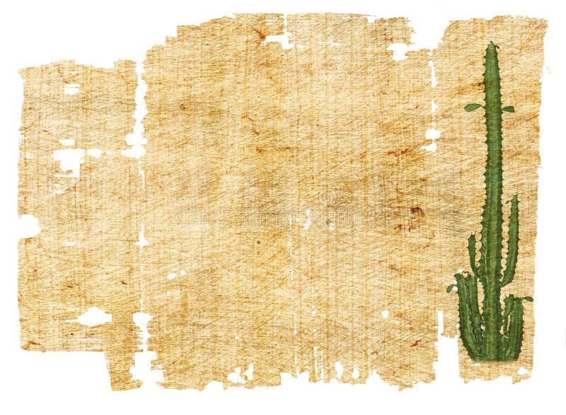 Aged paper with cactus vector illustration