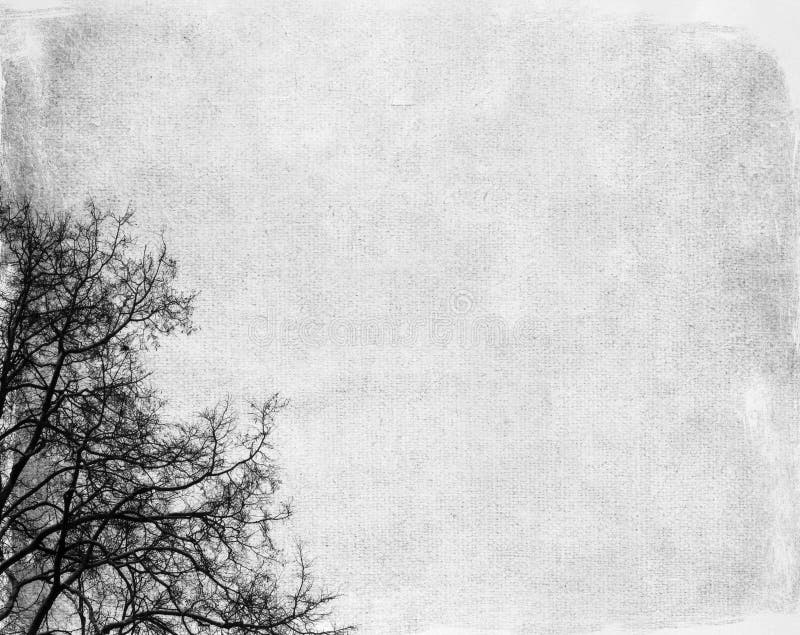 Aged paper texture stock illustration