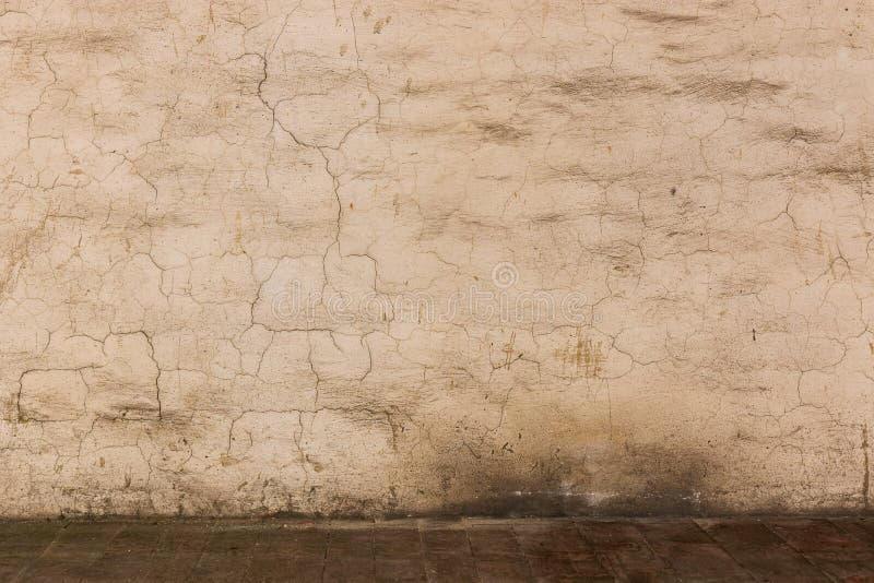 How to Decorate a Small Senior Living Apartment | Sedgebrook