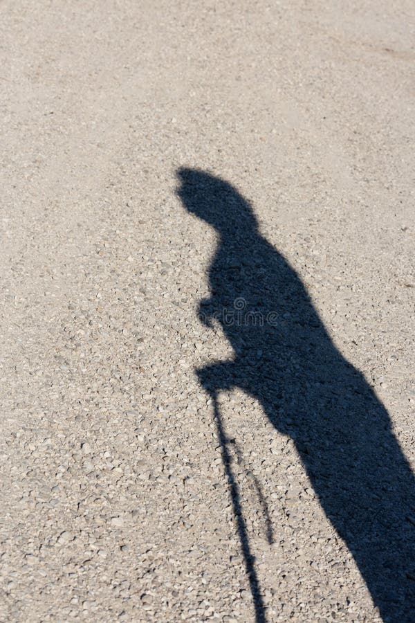 Old woman holding on to a cane walking outdoors. Old woman holding on to a cane walking outdoors