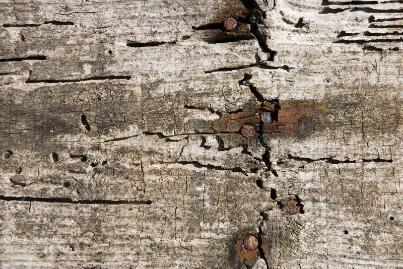 Aged wood wall