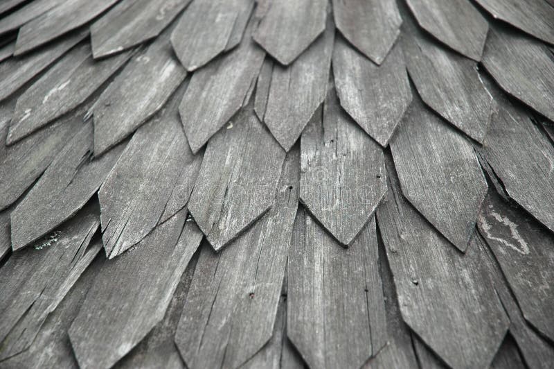 Aged wooden roof