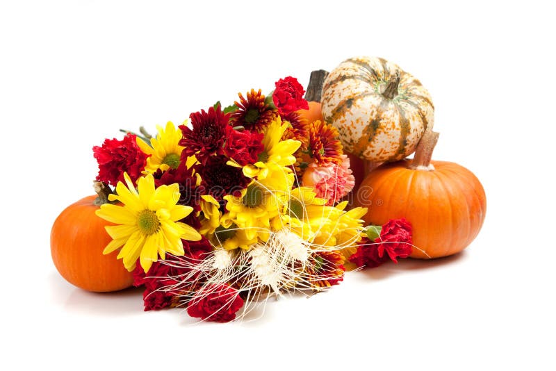 Agencement floral d'automne sur le blanc image stock Agencement floral d'automne sur le blanc image stock