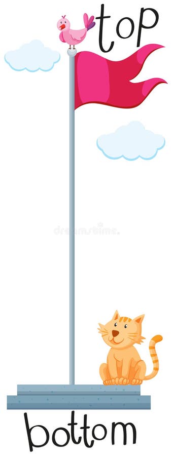 Aggettivi Opposti Alto E Basso Illustrazione Vettoriale Illustrazione Di Arte Inglese 63734191