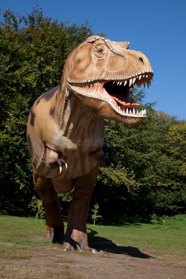 Aggressive T Rex Stock Photos - Free & Royalty-Free Stock Photos