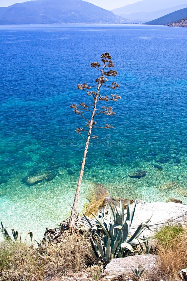 Agia Efimia Beach, Cephalonia Stock Photo Image of seawater, shiny