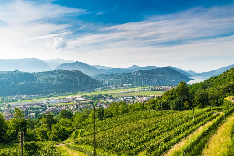 Agno, Швейцария Взгляд Agno, озера авиапорт Лугано, Лугано, виноградники на холмах окружая, на красивый летний день стоковые фото Agno, Швейцария Взгляд Agno, озера авиапорт Лугано, Лугано, виноградники на холмах окружая, на красивый летний день стоковые фото