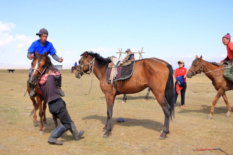 Foto De Stock Cara De Um Belo Cavalo, Royalty-Free