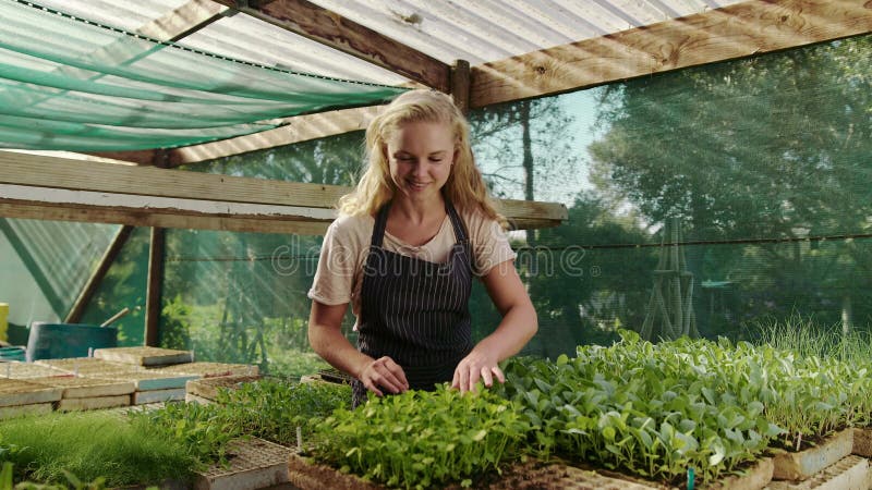 Agricoltore caucasico giardinaggio in una casa verde