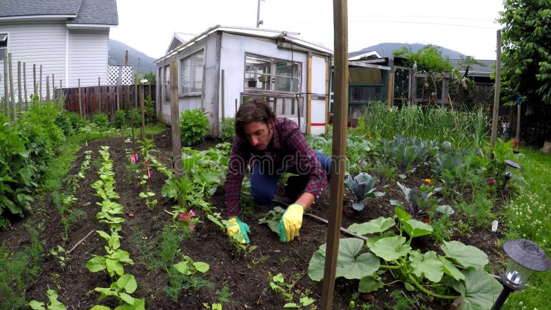 Agricoltore che fa il giardinaggio nel cortile 4k