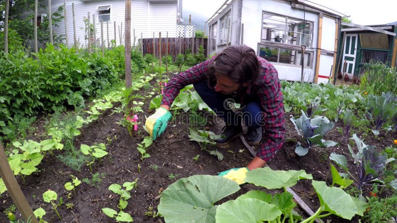 Agricoltore che fa il giardinaggio nel cortile 4k