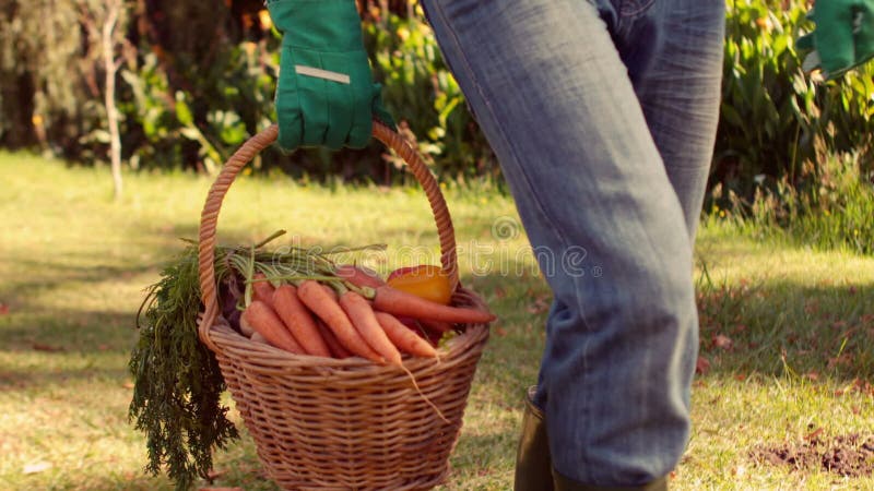 Agricoltore con il canestro della carota