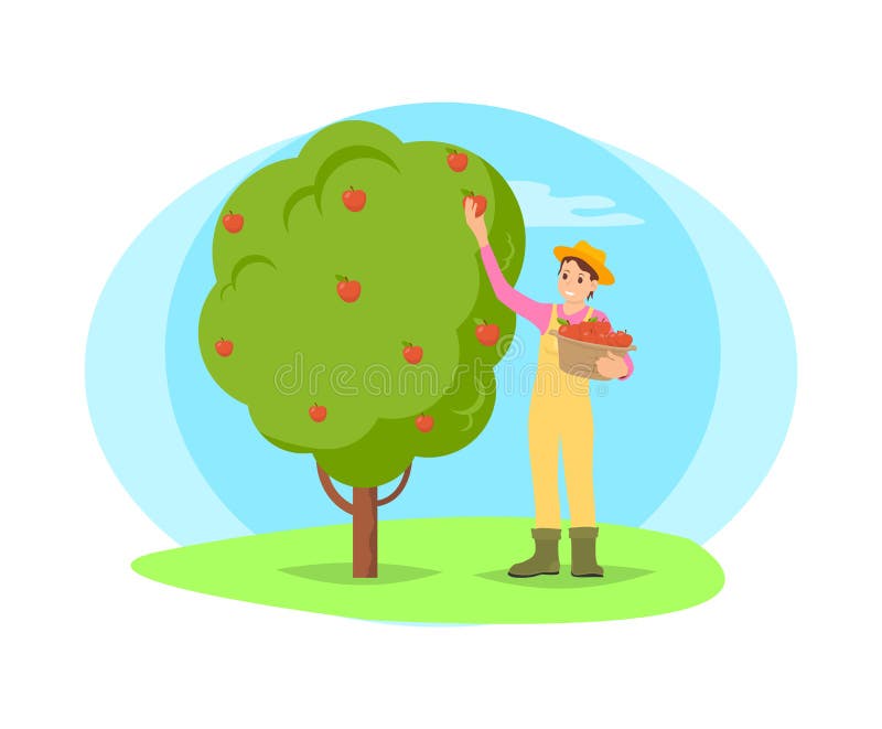 Agricoltore Picking Fruit dall'albero nel fumetto del giardino illustrazione vettoriale Agricoltore Picking Fruit dall'albero nel fumetto del giardino illustrazione vettoriale
