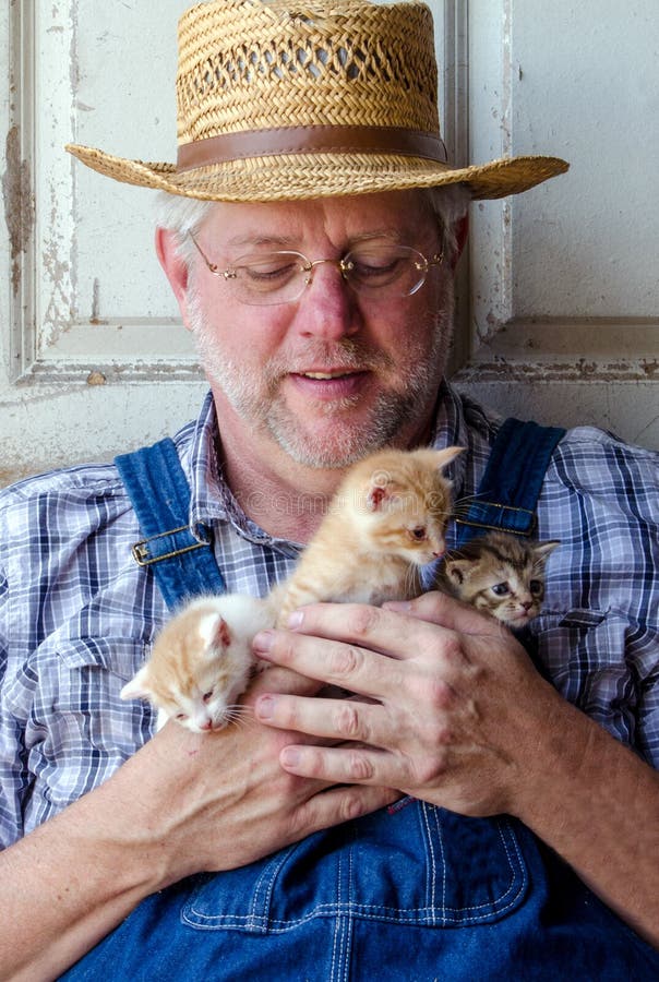 A handsome, grey haired farmer holds a handful of 3 little barn kittens. A handsome, grey haired farmer holds a handful of 3 little barn kittens
