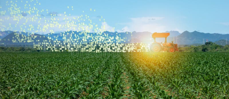 Agricoltura astuta di Iot, agricoltura nell'industria 4 0 tecnologie con il concetto di apprendimento automatico e di intelligenz immagine stock Agricoltura astuta di Iot, agricoltura nell'industria 4 0 tecnologie con il concetto di apprendimento automatico e di intelligenz immagine stock