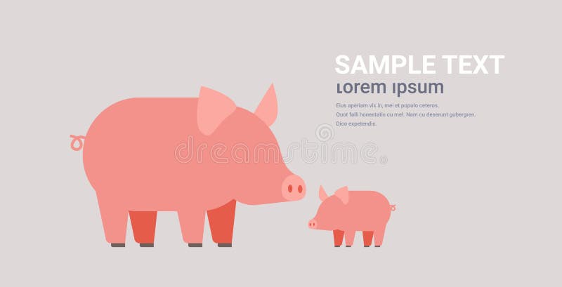 Agricoltura sveglia degli animali domestici dell'azienda agricola del fumetto della famiglia dei maiali che pasce lo spazio orizz royalty illustrazione gratis Agricoltura sveglia degli animali domestici dell'azienda agricola del fumetto della famiglia dei maiali che pasce lo spazio orizz royalty illustrazione gratis