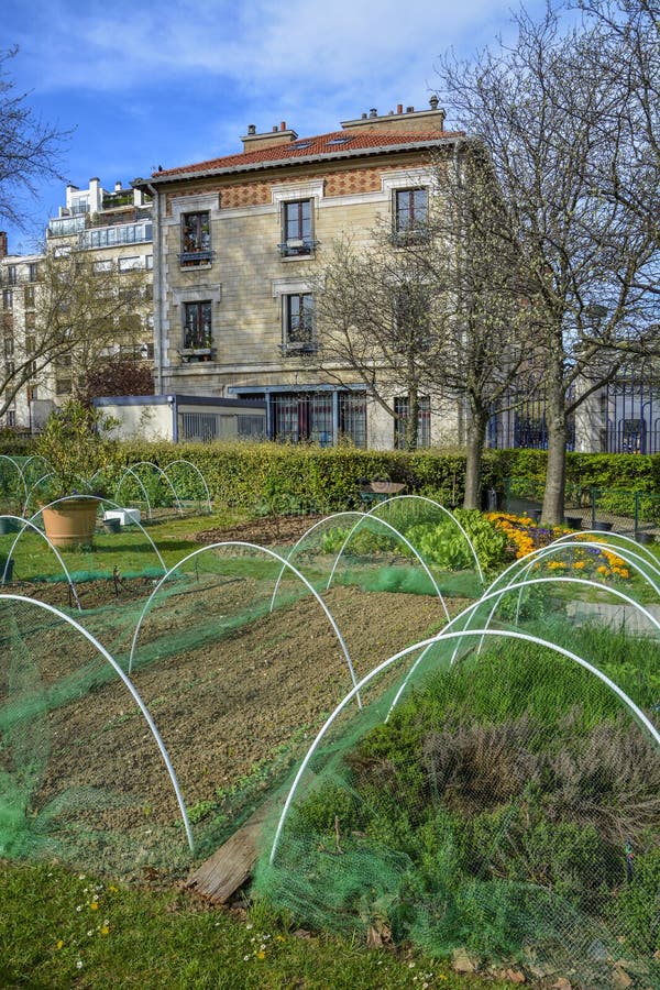 Agricoltura urbana fotografia stock libera da diritti