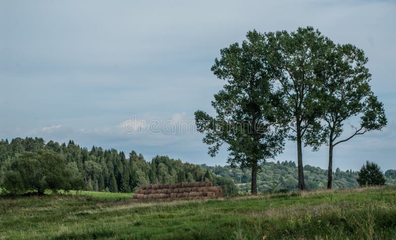 Agricoltura, vista del paesaggio immagine stock libera da diritti Agricoltura, vista del paesaggio immagine stock libera da diritti
