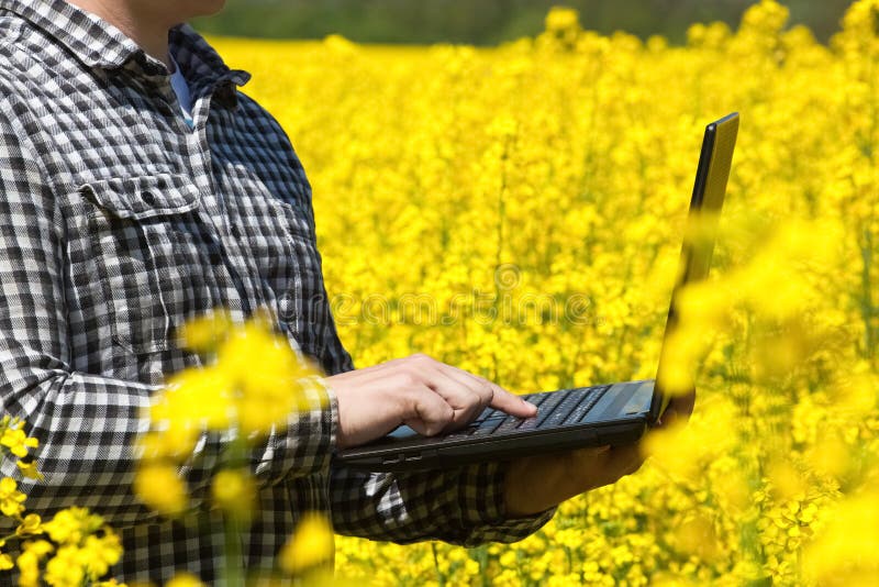 Agriculteur masculin - homme d'affaires tenant un ordinateur portable sur un champ de canola de floraison jaune, plan rapproché photos stock Agriculteur masculin - homme d'affaires tenant un ordinateur portable sur un champ de canola de floraison jaune, plan rapproché photos stock
