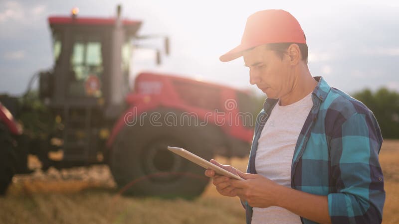 Agricultor num campo de trigo. conceito de empresa agrícola. um agricultor experiente caminha pelo campo de trigo com um tablet