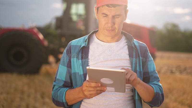 Agricultor num campo de trigo. conceito de empresa agrícola. um agricultor experiente caminha pelo campo de trigo com um tablet