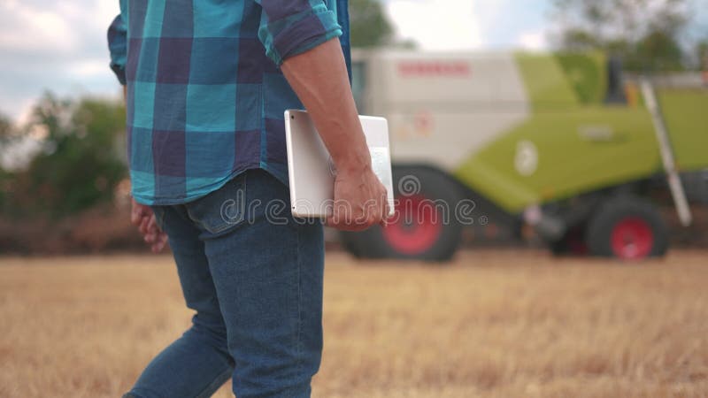 Agricultor num campo de trigo. conceito de empresa agrícola. um agricultor experiente caminha pelo campo de trigo com um tablet