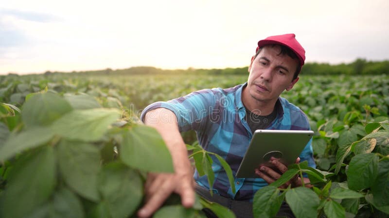 Agricultor sentado no campo. conceito de exploração e irrigação empresarial. um agricultor macho num chapéu vermelho sentado entre