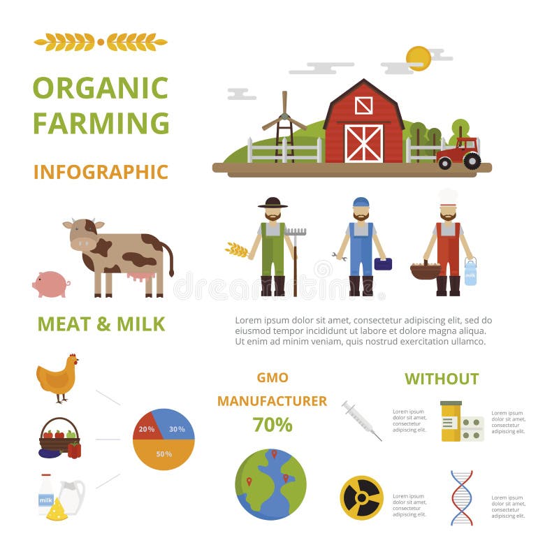 Agricultura que cultiva o vetor infographic do conceito dos elementos do alimento biológico ilustração do vetor Agricultura que cultiva o vetor infographic do conceito dos elementos do alimento biológico ilustração do vetor