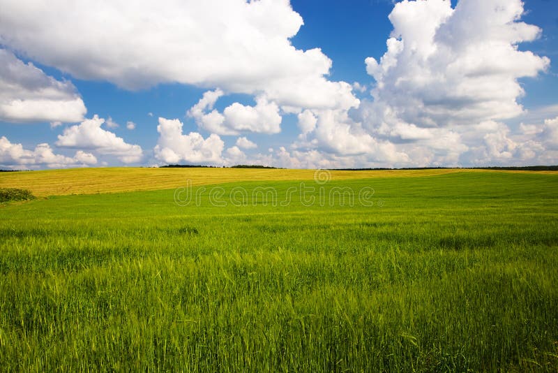 Agricultural field