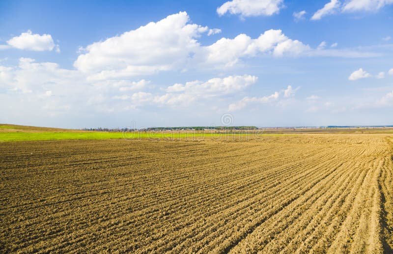 Agricultural field royalty free stock photos
