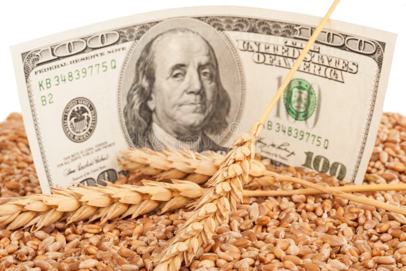 Agricultural from Spices Concept Highlighted with Indian Rupees