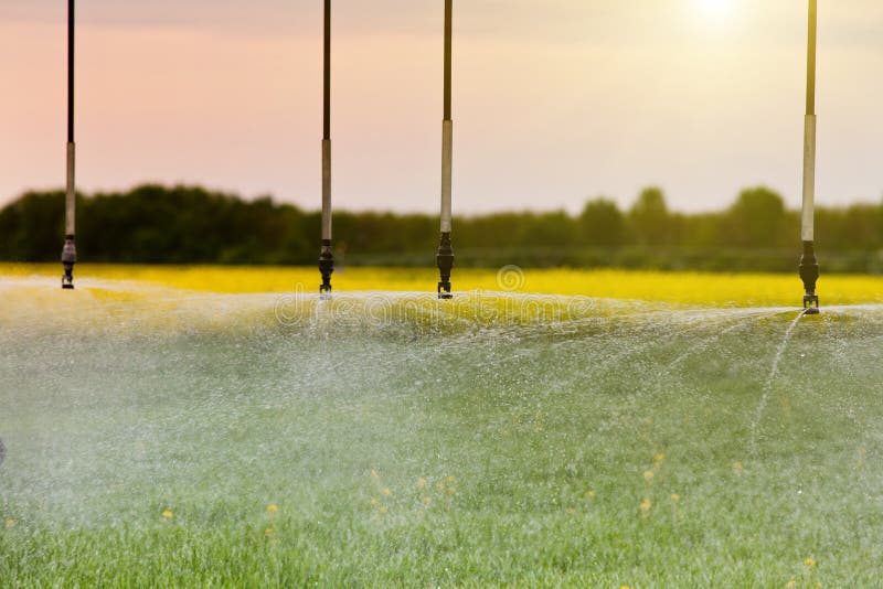 Agricultural Irrigation System Stock Image Image of field, industry