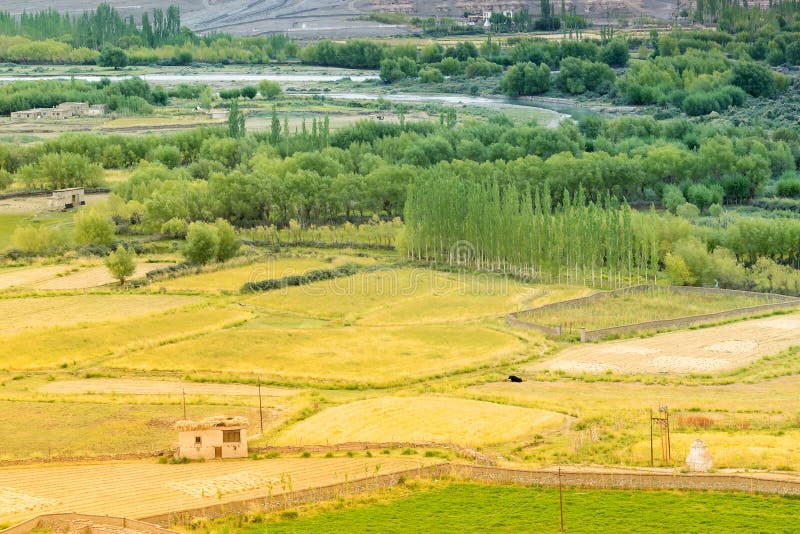 Agricultural Land Leh Ladakh Stock Photos - Free & Royalty-Free Stock ...