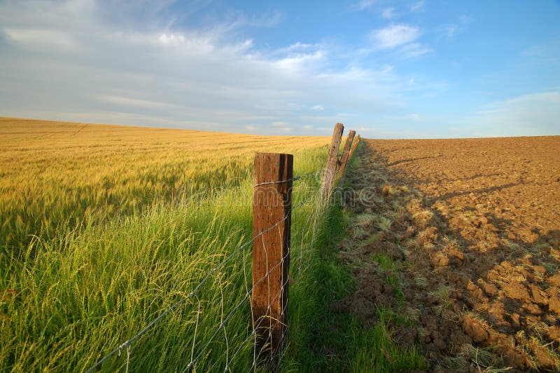 Agricultural landscape