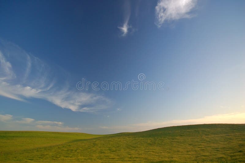 Agricultural landscape