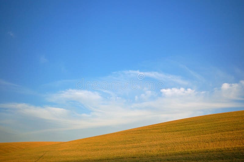 Agricultural landscape