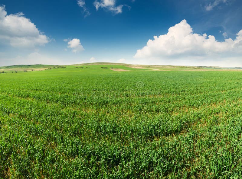 Agricultural Landscape Stock Photo Image Of Countryside 83409336