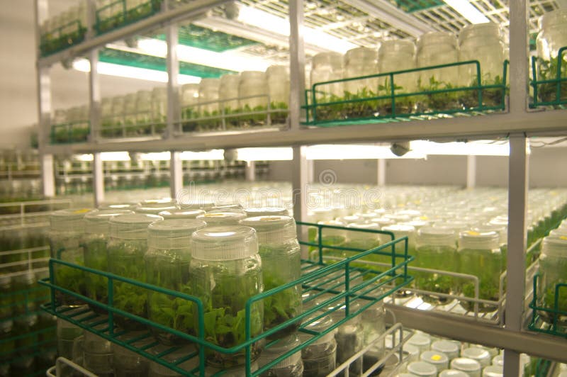 Agricultural research labs royalty free stock images Agricultural research labs royalty free stock images