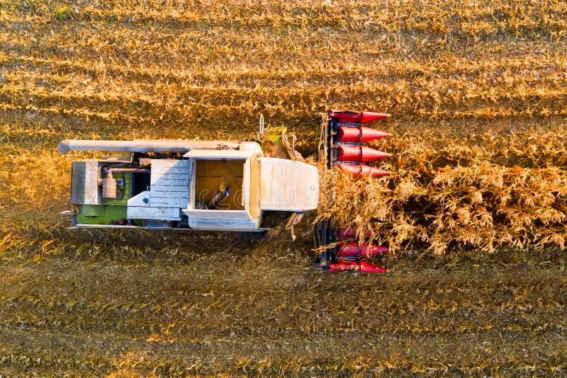 Closeup of combine harvester harvesting corn in the evening in the field. Aerial view. royalty free stock images Closeup of combine harvester harvesting corn in the evening in the field. Aerial view. royalty free stock images