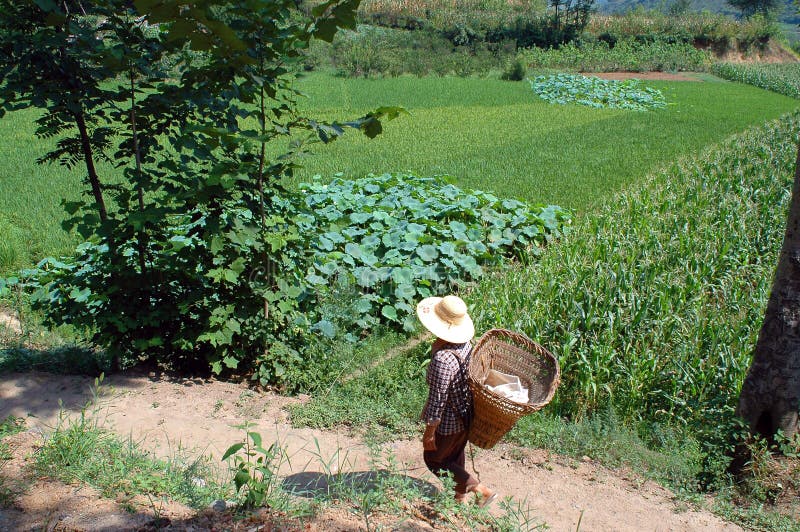 Agriculture