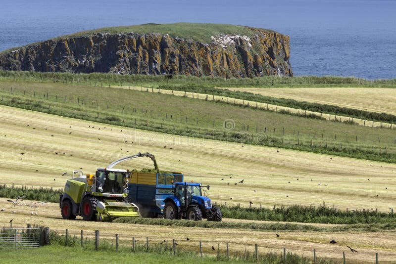 Agriculture Ballycastle Irlande Du Nord Photographie éditorial