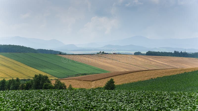 Agriculture in cloudy day in sapporo Japan stock photo Agriculture in cloudy day in sapporo Japan stock photo