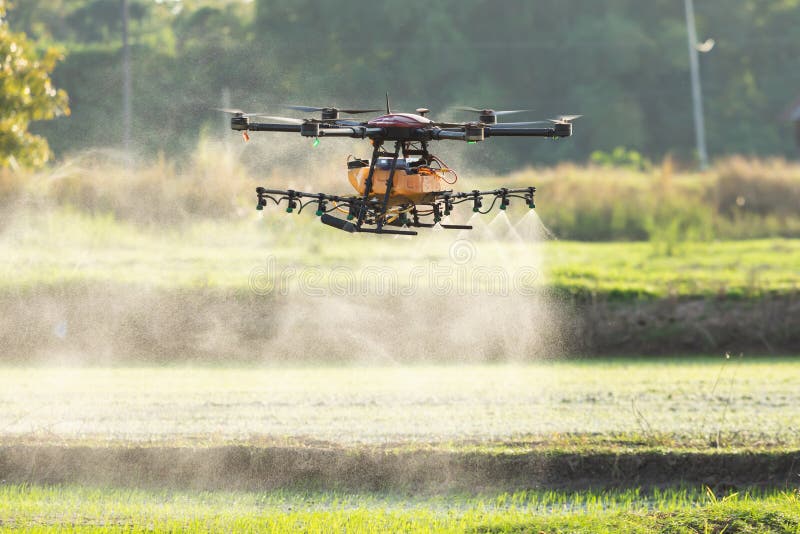 Premium AI Image | Agriculture drone fly to sprayed fertilizer on row ... Premium AI Image | Agriculture drone fly to sprayed fertilizer on row ...